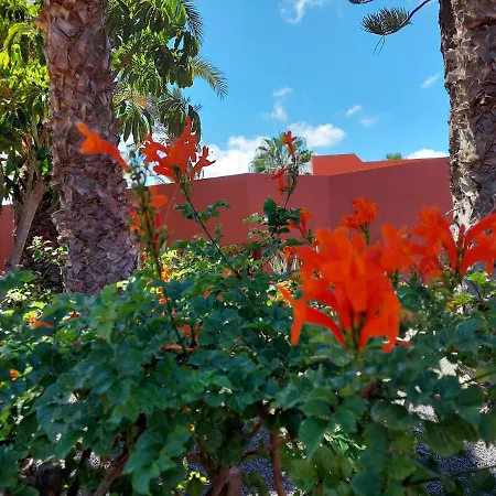 Sweet By Sea There Fuerteventura Appartement Corralejo