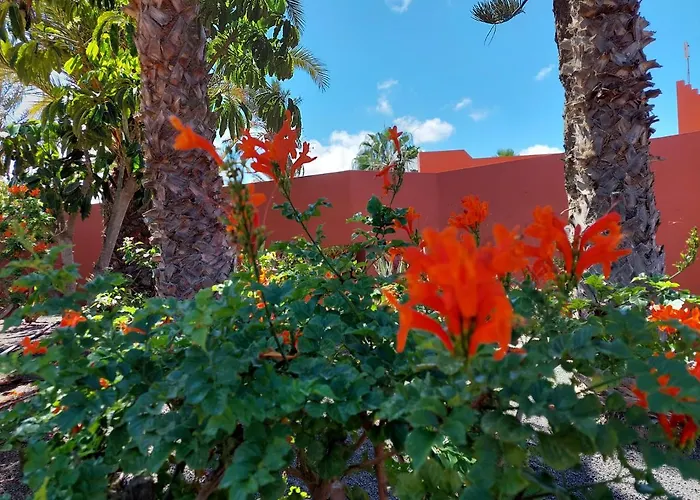 Sweet By Sea There Fuerteventura Apartamento Corralejo